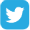 Twitter Page